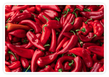 Red Pepper